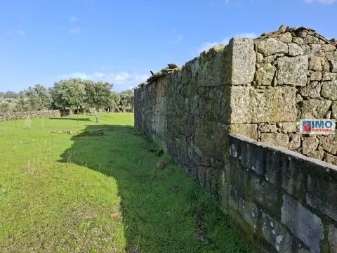 Quinta com ruína em São Miguel D´Acha