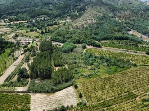 Terreno Rústico c/ 8.331 m² em Aldeia do Souto – Covilhã