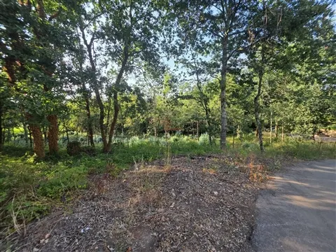 Terreno para Construção com 2.967m2 em Agrela, Santo Tirso
