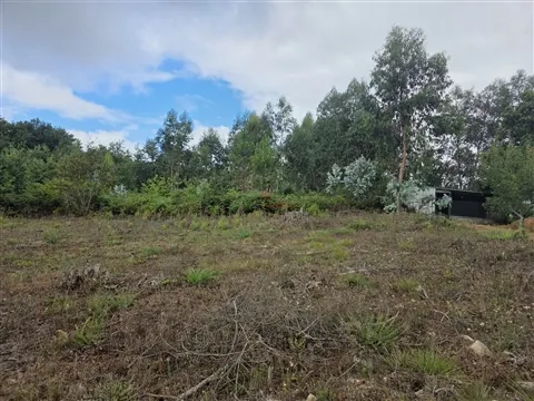Terreno para Construção com 1.820m2 em Ferreira, Paços de Ferreira