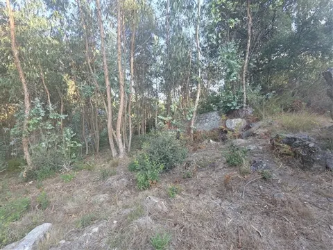 Terreno para Construção com 2.003M2 com PIP APROVADO em Roriz, Santo Tirso