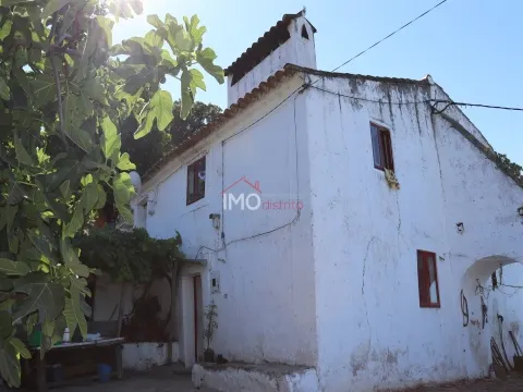 Quinta T4