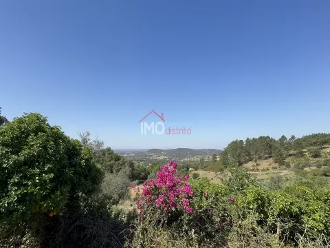 Rustico Terreno