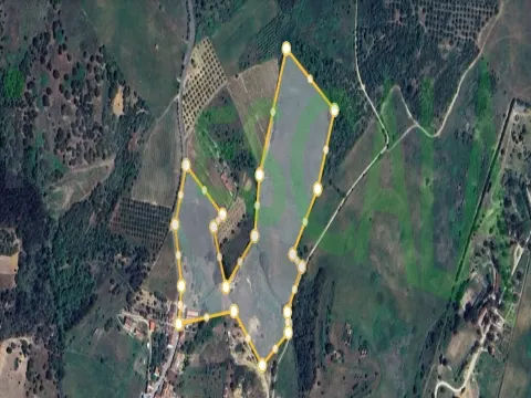 Moradia T5 com Piscina e Jardim