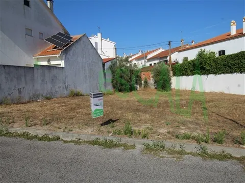 Stand