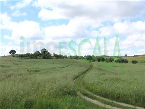 Real Estate building