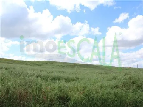 Real Estate building