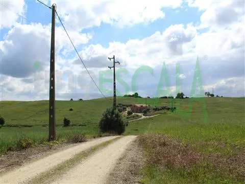 Real Estate building