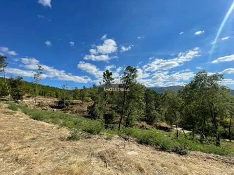 Propriedade Sr.ª Desterro - Cabeça Da Velha
