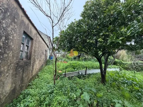 Casinha para remodelar