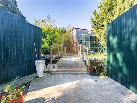 img_105