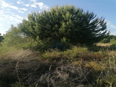 Terreno Rústico situado em Pegões com 90.000m2