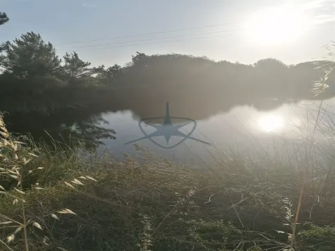 Terreno Rústico situado em Pegões com 90.000m2
