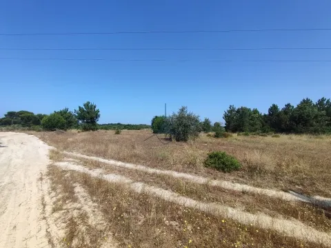 Terreno Rústico situado em Pegões com 90.000m2