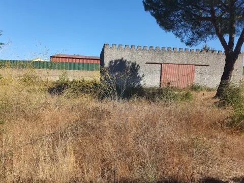 Lote de Terreno Urbano - Pegões