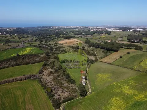 Terreno Rústico com Vista Mar e Serra – Sintra