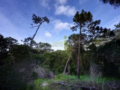 Terreno Rústico com 3.400m2 a venda em Areais, Colares