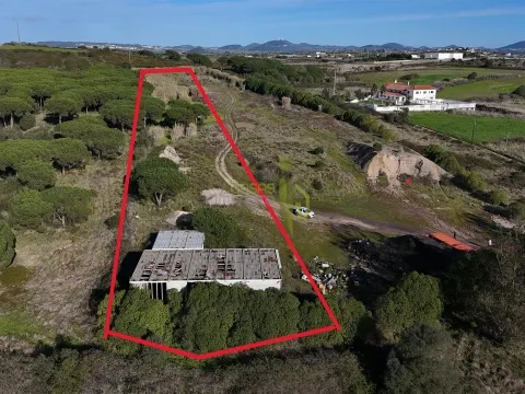 Terreno Rústico com 9640m2 na Terrugem