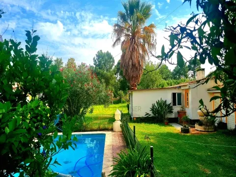 房子 >= 10个房间