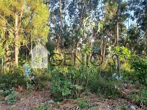 Terreno em Gondifelos para construção
