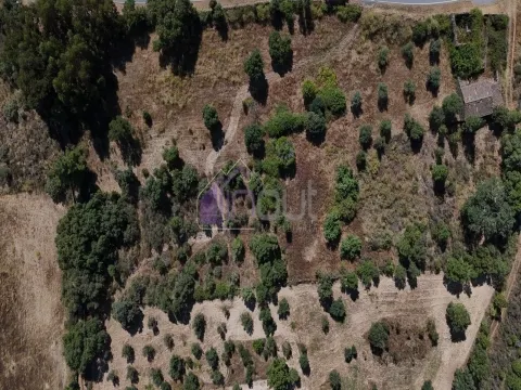 &#127807; Terreno Rústico com Palheiro, Poço e Árvores de Fruto – Bemposta &#124; 27.000&#8239;€ &#127807;