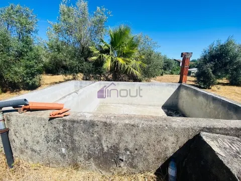 &#127795; Quintinha com 6.140 m² em Louriçal do Campo – Um refúgio entre a serra e o rio! &#127966;&#65039;