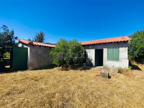 &#127795; Quintinha com 6.140 m² em Louriçal do Campo – Um refúgio entre a serra e o rio! &#127966;&#65039;