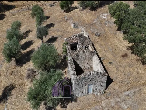 Landbesitz 3 Schlafzimmer