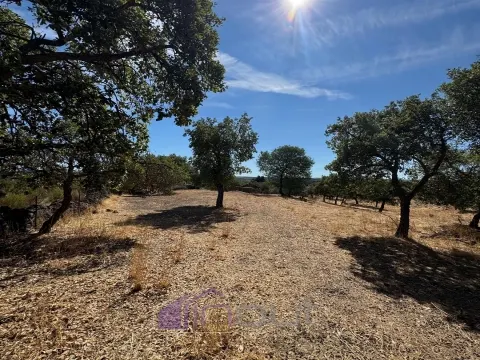 Landbesitz 3 Schlafzimmer