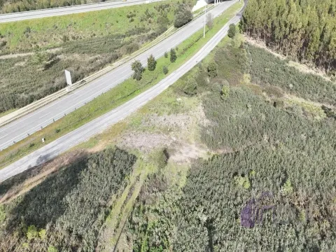 Terreno 2,38 ha para Investimento Agrícola ou Lazer &#124; Vila Velha de Ródão &#124; 11.250€