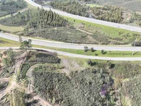 Terreno 2,38 ha para Investimento Agrícola ou Lazer &#124; Vila Velha de Ródão &#124; 11.250€