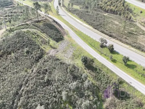 Terreno 2,38 ha para Investimento Agrícola ou Lazer &#124; Vila Velha de Ródão &#124; 11.250€