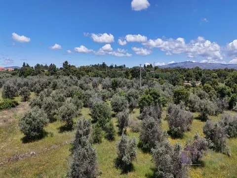 img_35