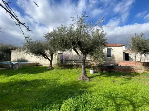 Armazém com Terreno de 2.000 m², Poço, Furo e Piscina – Aldeia da Lousa