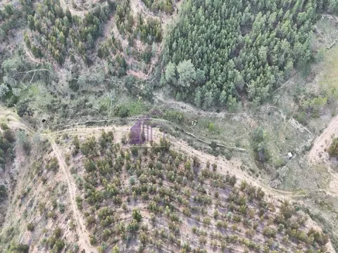 Terreno Rústico com Água Própria e Natureza Autêntica em Maxiais – O Refúgio Perfeito no Coração de