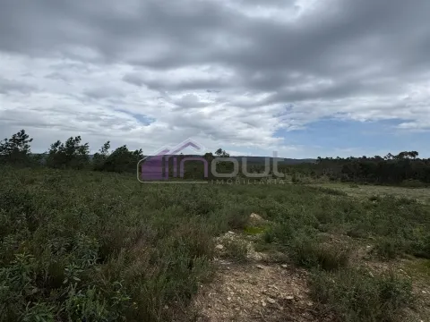 Terreno Rústico com 828m² em Marmelal – Natureza e Tranquilidade