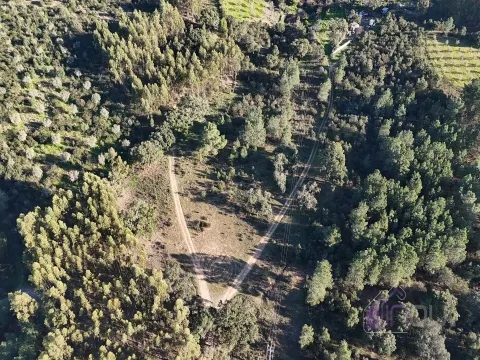 Terreno Rústico, com Sobreiros e Terra Arvense à Venda 25.000€