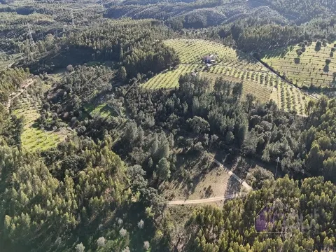 Terreno Rústico, com Sobreiros e Terra Arvense à Venda 25.000€