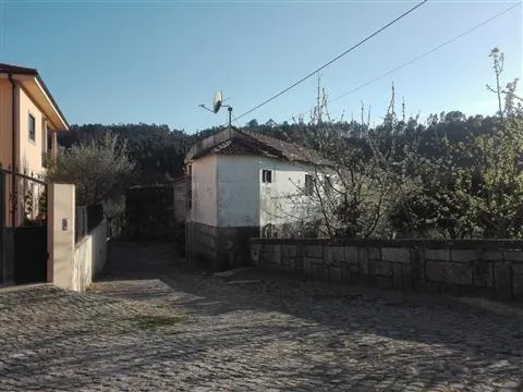 Fattoria / Cascina / Casale