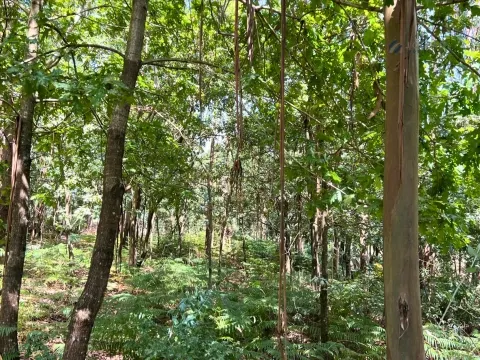 Terreno Rústico com 1430m2 em Lamoso, Paços de Ferreira