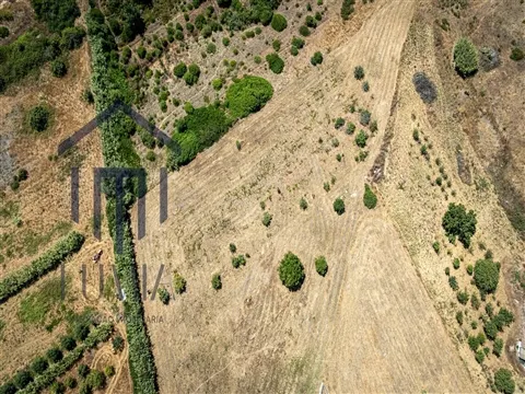 Terreno Urbano