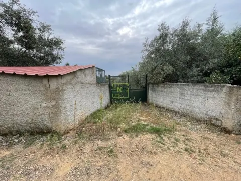 Farm in the parish of Capinha, municipality of Fundão