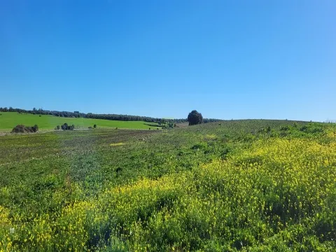 Landgut 0 Schlafzimmer