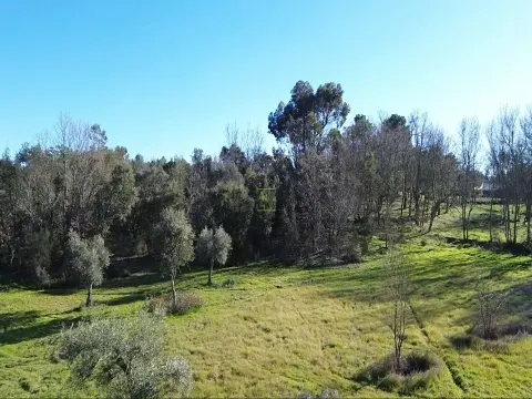 Rustikales Land mit einer Gesamtfläche von 9400m2 in Aldeia de Águas
