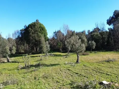 Rustikales Land mit einer Gesamtfläche von 9400m2 in Aldeia de Águas