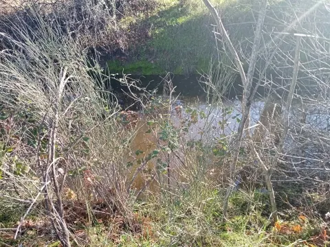 Rustikales Land mit einer Gesamtfläche von 9400m2 in Aldeia de Águas