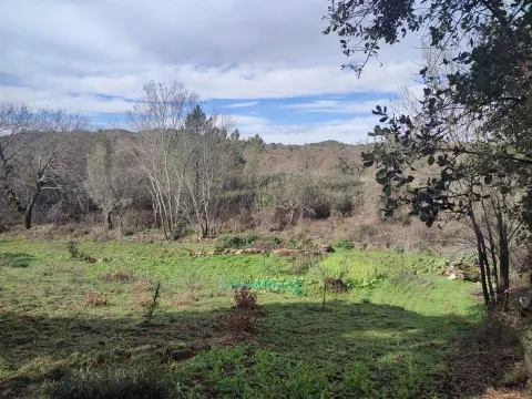 Terreno para horta em Monsanto