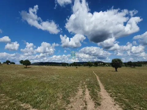 Domaine 7 Chambre(s)