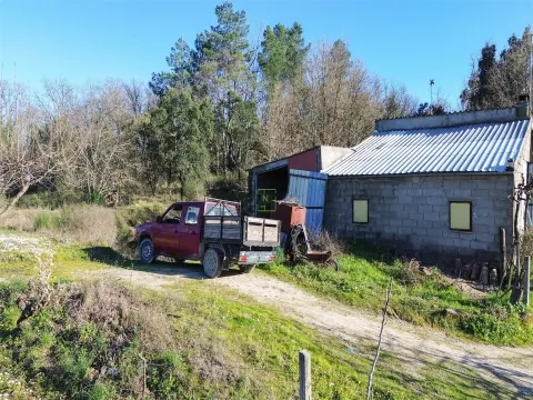Terreno Rústico em Penamacor
