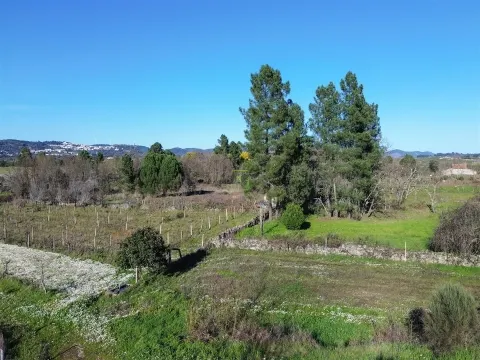 Terreno Rústico em Penamacor